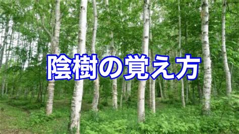 陽樹林 陰樹林|陰樹と陽樹の違いと代表的な樹木 